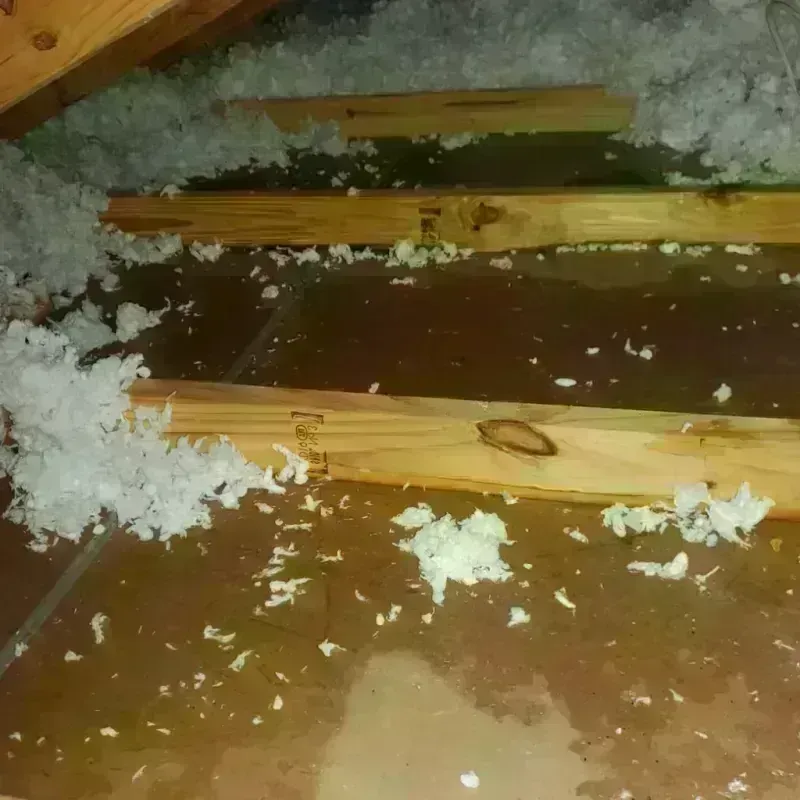 Attic Water Damage in Glynn County, GA