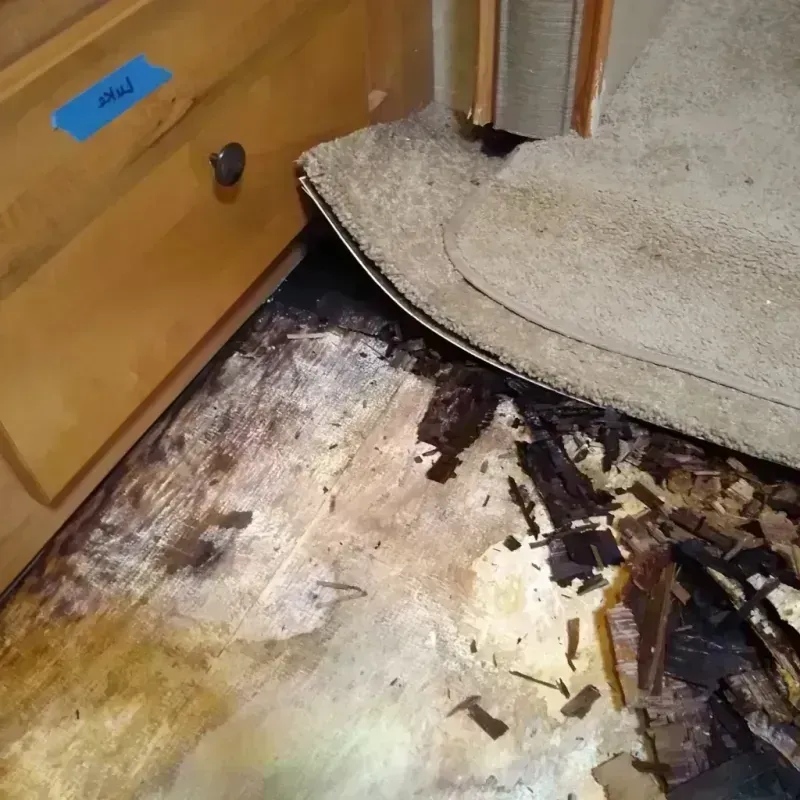 Best Wood Floor Water Damage Service in Glynn County, GA